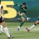 Palmeiras Resgata o Grito de Campe o no Allianz Parque Como Hulk e os Her is do Verd o Escreveram um Novo Cap tulo na Hist ria