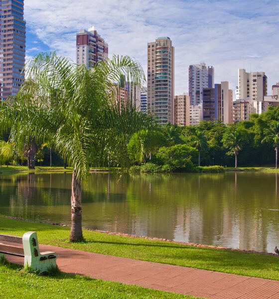 Por Que Dallas É Mais do Que Cowboy Boots e Margaritas: A Cidade que Encanta em 360° 16 Por Que Dallas Mais do Que Cowboy Boots e Margaritas A Cidade que Encanta em 360