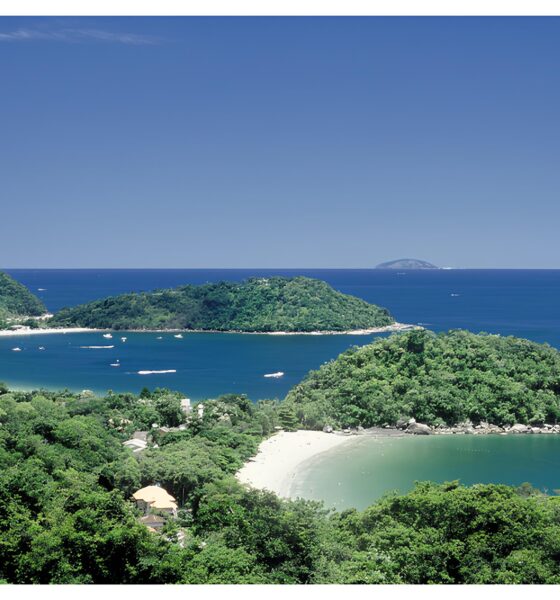 Por Que Miami Mais do Que Uma Cidade O Lado Oculto da Capital Latina e Como Sua Viagem Pode Ser Transformadora