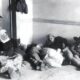 Portugal Beira do Colapso A Explos o da Imigra o e o Crescimento da Xenofobia