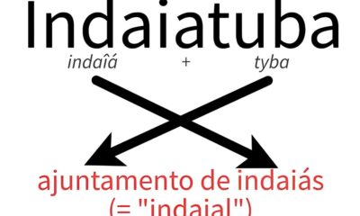 Psicologia com Prop sito Como o Instituto Met fora Est Redefinindo a Pr tica Cl nica em Indaiatuba