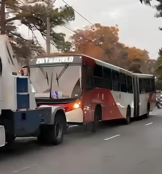 Quando a Roda Sai do Eixo O Dia em que um nibus Perdeu o Controle na Theodureto de Almeida Camargo