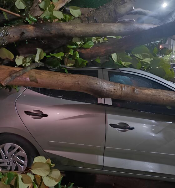 Quando o Vento Derrubou o Céu: A História de Como uma Tempestade Paralisou o Brasil e Redefiniu Nossa Relação com os Céus 9 Quando o Vento Derrubou o C u A Hist ria de Como uma Tempestade Paralisou o Brasil e Redefiniu Nossa Rela o com os C us