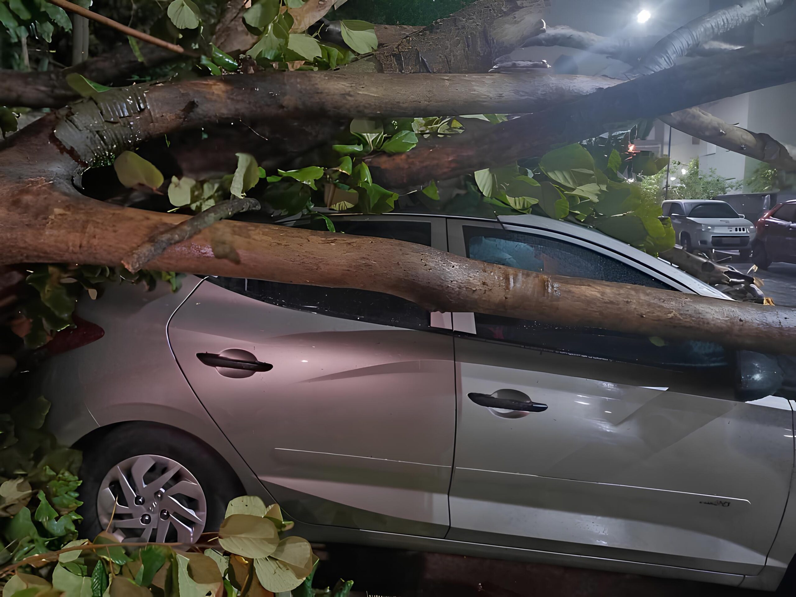 Quando o Vento Derrubou o Céu: A História de Como uma Tempestade Paralisou o Brasil e Redefiniu Nossa Relação com os Céus 8 Quando o Vento Derrubou o C u A Hist ria de Como uma Tempestade Paralisou o Brasil e Redefiniu Nossa Rela o com os C us scaled