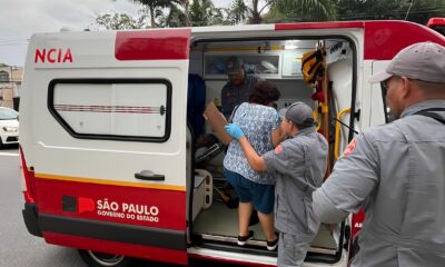 Quando os Her is de Uniforme Azul Viram Guardi es da Vida A Hist ria Secreta da Opera o Delegada dos Bombeiros de SP