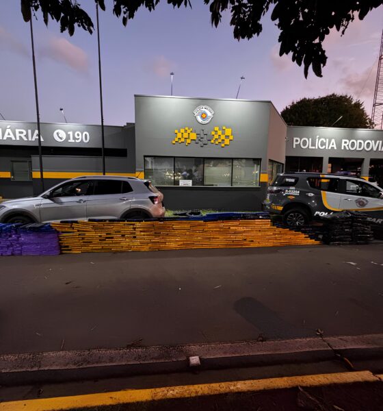 Quase uma Tonelada de Maconha Apreendida em Piracicaba: O Dia em que a Estrada Virou um Tabuleiro Policial 9 Quase uma Tonelada de Maconha Apreendida em Piracicaba O Dia em que a Estrada Virou um Tabuleiro Policial
