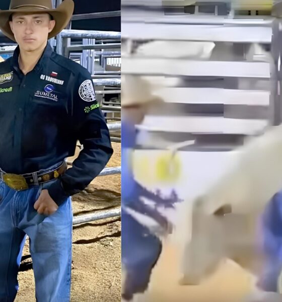Tragédia na Arena: O Dia em que um Sonho Virou Pesadelo no Rodeio de Mato Grosso 16 Trag dia na Arena O Dia em que um Sonho Virou Pesadelo no Rodeio de Mato Grosso