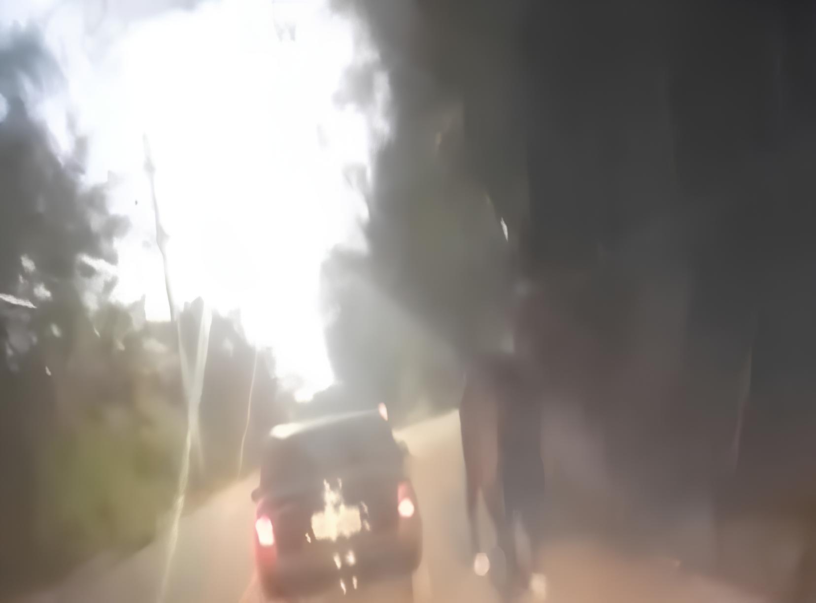 Cavalo Puxado por Carro em Rodovia: O Grito Silencioso de um Animal em Perigo e o Que Isso Revela Sobre Nossa Sociedade 9