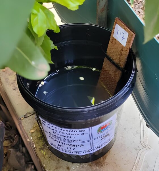 Como Indaiatuba Est Combatendo o Mosquito da Dengue com 200 Novas Armadilhas Uma Estrat gia Inovadora que Pode Salvar Vidas