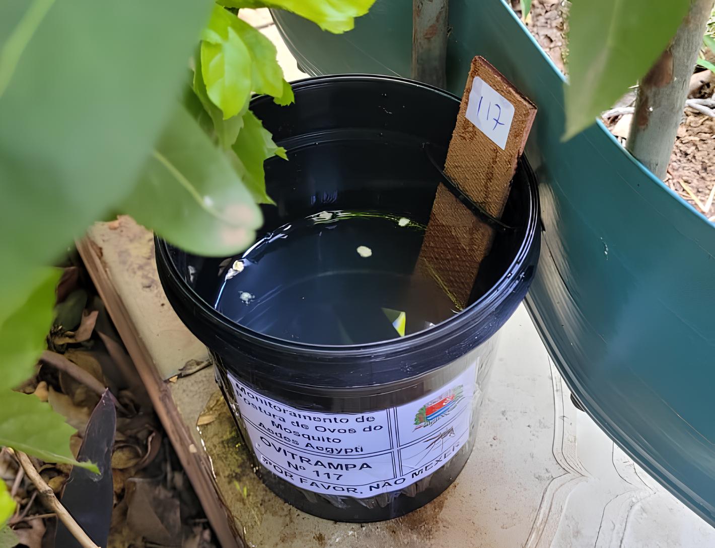 Como Indaiatuba Est Combatendo o Mosquito da Dengue com 200 Novas Armadilhas Uma Estrat gia Inovadora que Pode Salvar Vidas