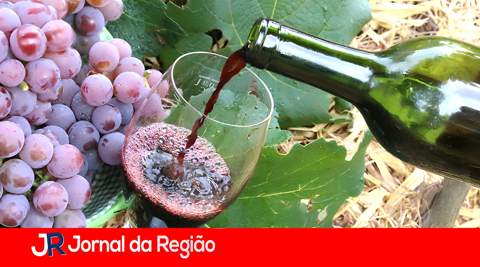 Como Jundiaí e o Circuito das Frutas Estão Revolucionando a Vitivinicultura Brasileira 8 Como Jundia e o Circuito das Frutas Est o Revolucionando a Vitivinicultura Brasileira