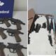 Como Pe as de Brinquedos e Piscinas Infl veis Esconderam um Arsenal Ilegal no Brasil A Opera o que Exp s o Contrabando de Armas