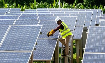 Como a Yanmar Est Reinventando o Futuro da Ind stria em Indaiatuba Um Salto Rumo Sustentabilidade e Inova o