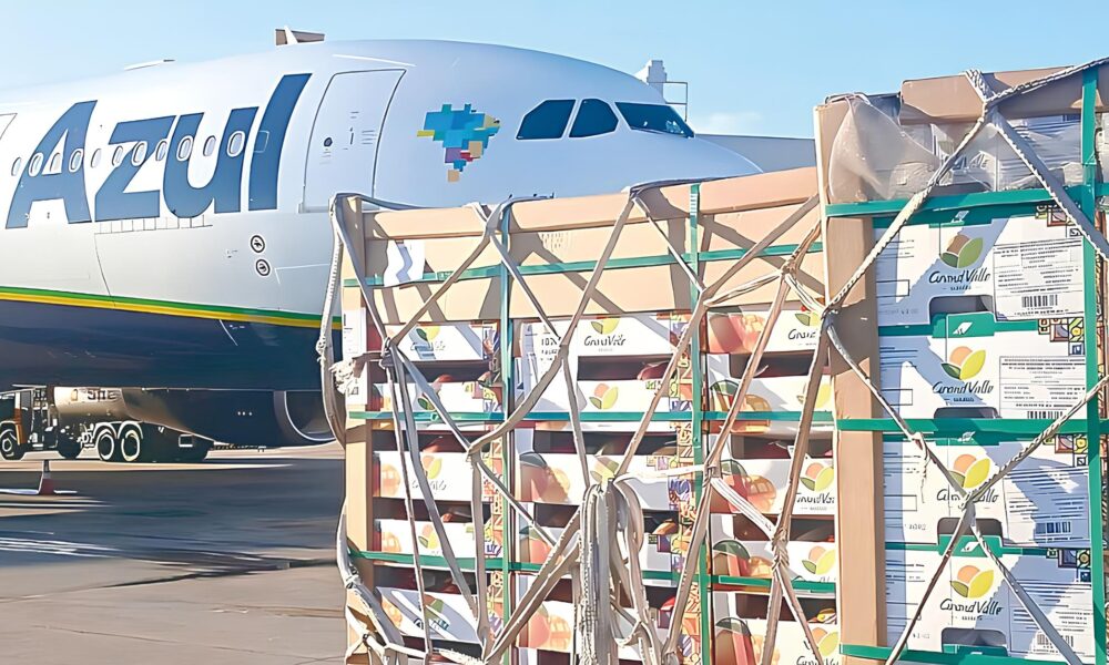 Como o Morango do Amor Conquistou o Brasil e Transformou o Mercado de Transporte A reo de Cargas