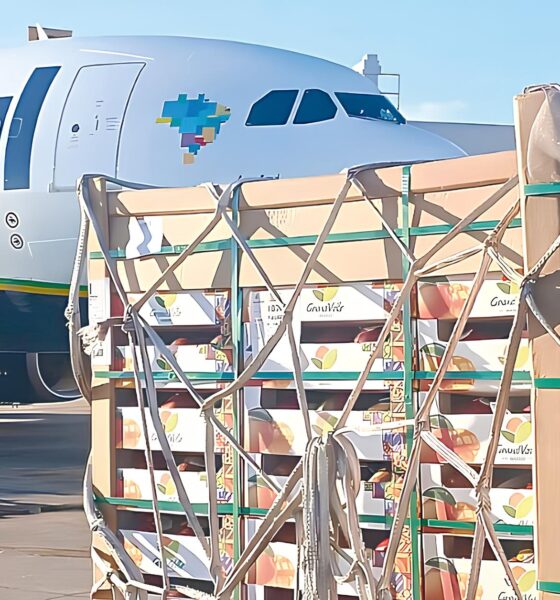 Como o Morango do Amor Conquistou o Brasil e Transformou o Mercado de Transporte Aéreo de Cargas 10 Como o Morango do Amor Conquistou o Brasil e Transformou o Mercado de Transporte A reo de Cargas