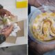 Encontrada em Caixa pelos Correios Como uma Cobra Ex tica de 40 cm Revela o Submundo do Tr fico de Animais no Brasil