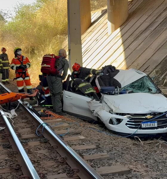 O Incidente Sob o Viaduto: Uma História de Sobrevivência e Mistério em Indaiatuba 9 O Incidente Sob o Viaduto Uma Hist ria de Sobreviv ncia e Mist rio em Indaiatuba