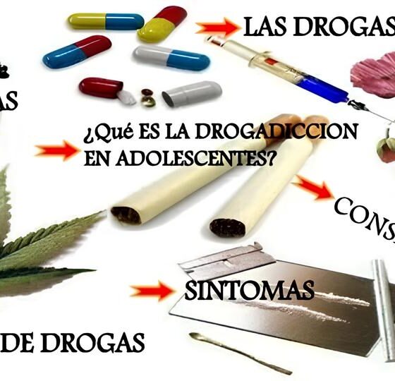 Operação Carga Pesada: Como Analistas-Tributários e Cães Farejadores Combateram o Tráfico de Drogas no Coração do Brasil 10 Opera o Carga Pesada Como Analistas Tribut rios e C es Farejadores Combateram o Tr fico de Drogas no Cora o do Brasil
