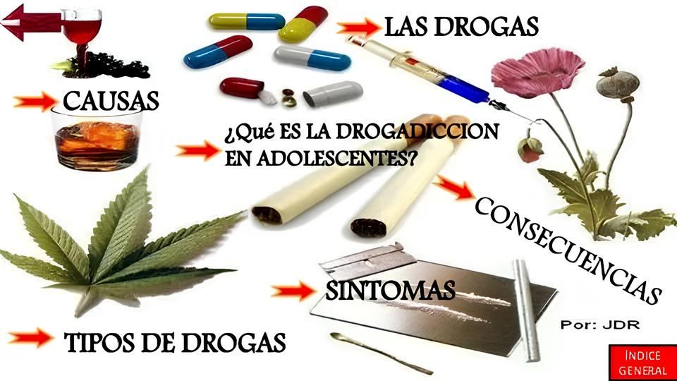 Opera o Carga Pesada Como Analistas Tribut rios e C es Farejadores Combateram o Tr fico de Drogas no Cora o do Brasil