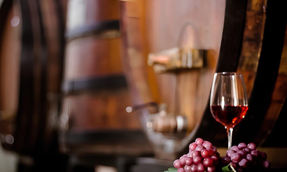 Por Tr s da Ta a Como Produtores de Vinho do Circuito das Frutas Est o Reinventando a Vitivinicultura em Jundia e Regi o