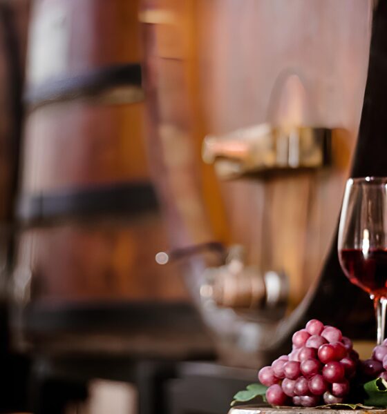 Por Trás da Taça: Como Produtores de Vinho do Circuito das Frutas Estão Reinventando a Vitivinicultura em Jundiaí e Região 10 Por Tr s da Ta a Como Produtores de Vinho do Circuito das Frutas Est o Reinventando a Vitivinicultura em Jundia e Regi o