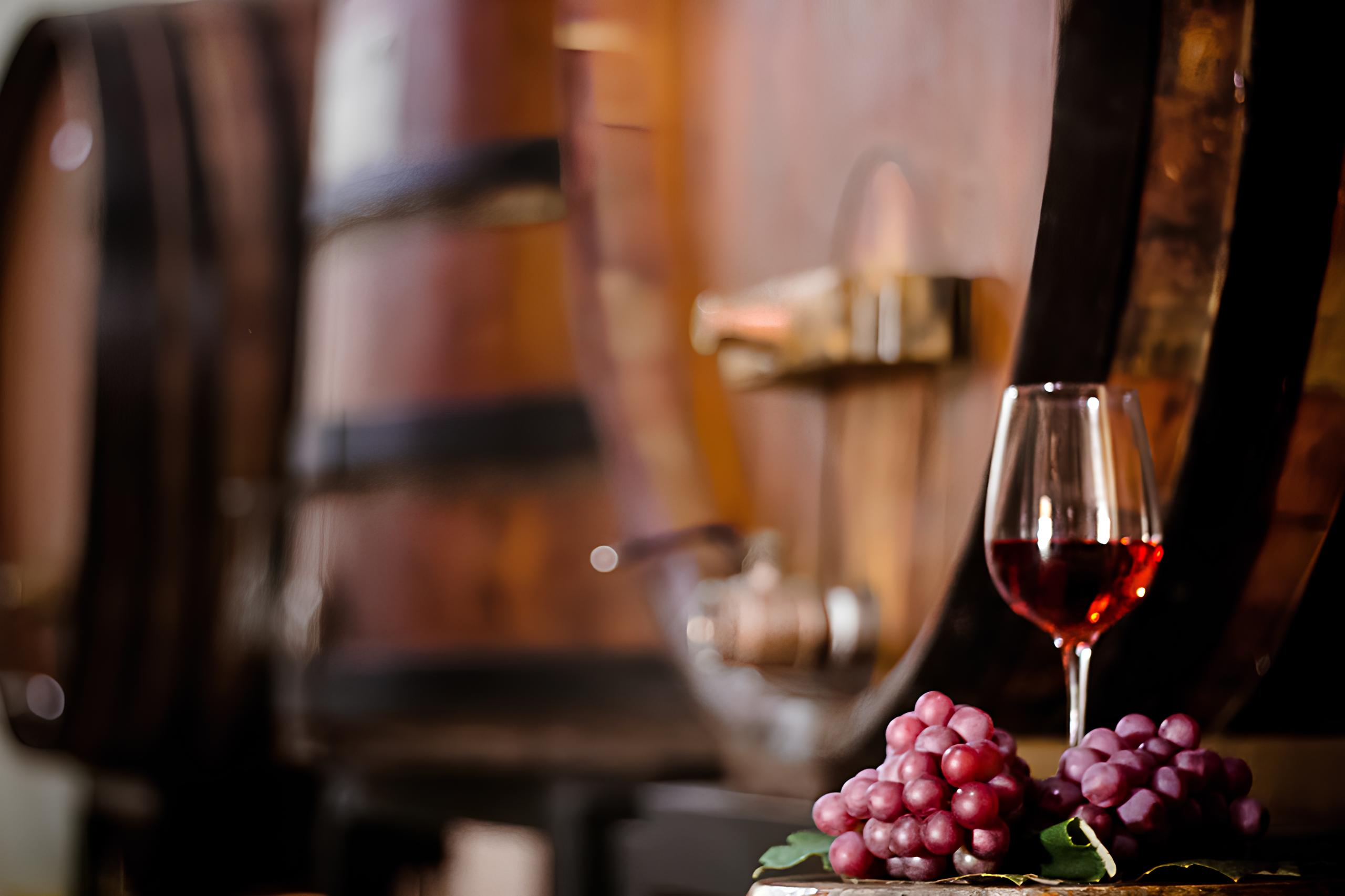 Por Trás da Taça: Como Produtores de Vinho do Circuito das Frutas Estão Reinventando a Vitivinicultura em Jundiaí e Região 9 Por Tr s da Ta a Como Produtores de Vinho do Circuito das Frutas Est o Reinventando a Vitivinicultura em Jundia e Regi o