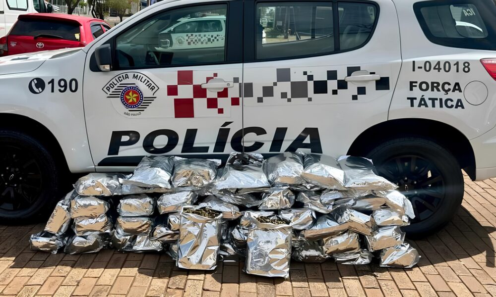 Supermaconha no Asfalto: A Batalha de Bauru Contra o Tráfico Milionário na Rodovia Castelo Branco 31 Supermaconha no Asfalto A Batalha de Bauru Contra o Tr fico Milion rio na Rodovia Castelo Branco
