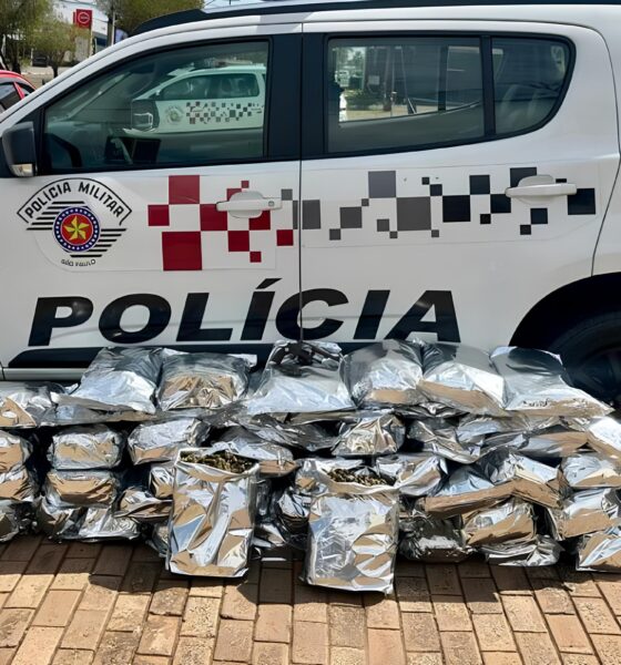 Supermaconha no Asfalto: A Batalha de Bauru Contra o Tráfico Milionário na Rodovia Castelo Branco 9 Supermaconha no Asfalto A Batalha de Bauru Contra o Tr fico Milion rio na Rodovia Castelo Branco