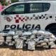 Supermaconha no Asfalto A Batalha de Bauru Contra o Tr fico Milion rio na Rodovia Castelo Branco