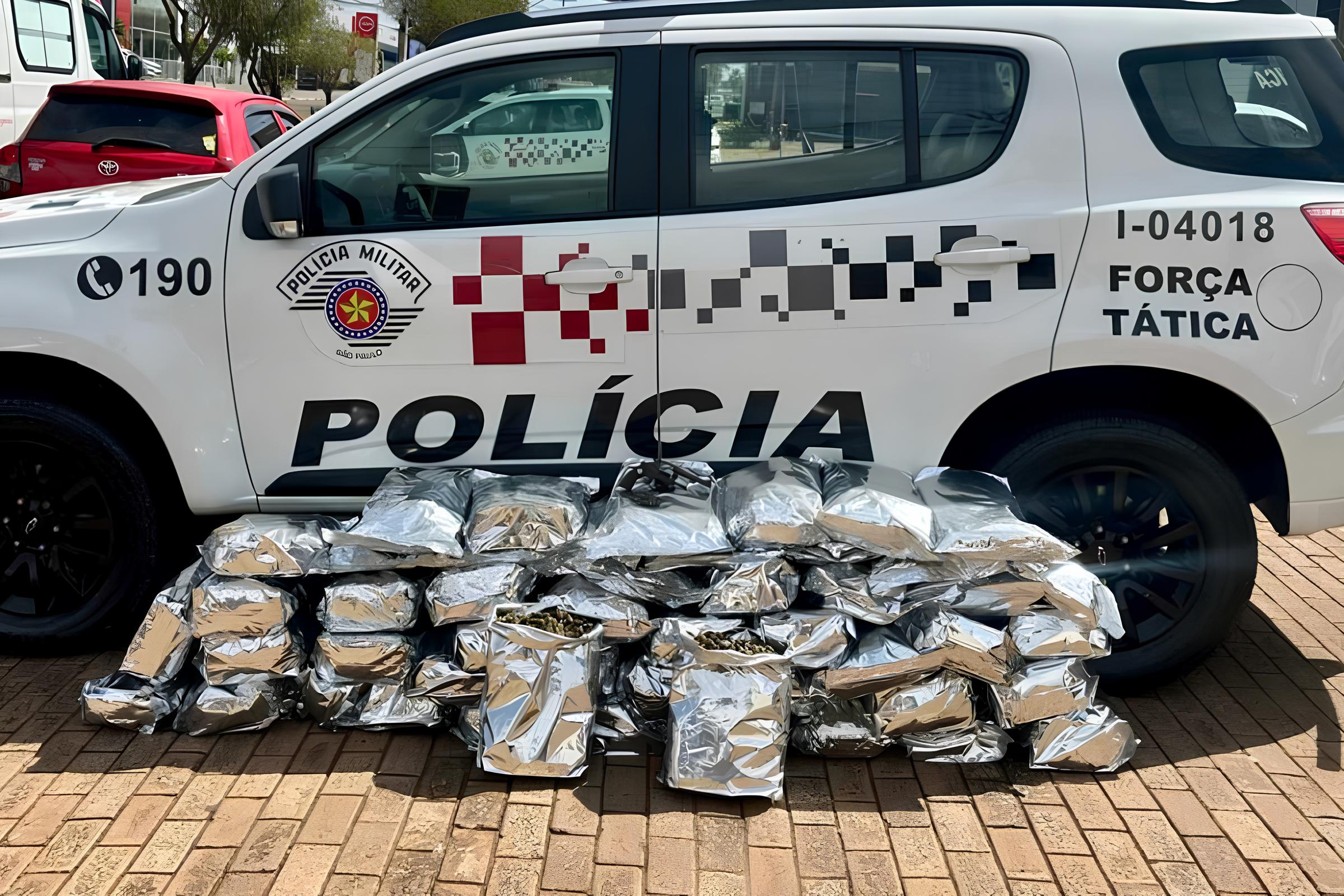 Supermaconha no Asfalto: A Batalha de Bauru Contra o Tráfico Milionário na Rodovia Castelo Branco 8 Supermaconha no Asfalto A Batalha de Bauru Contra o Tr fico Milion rio na Rodovia Castelo Branco