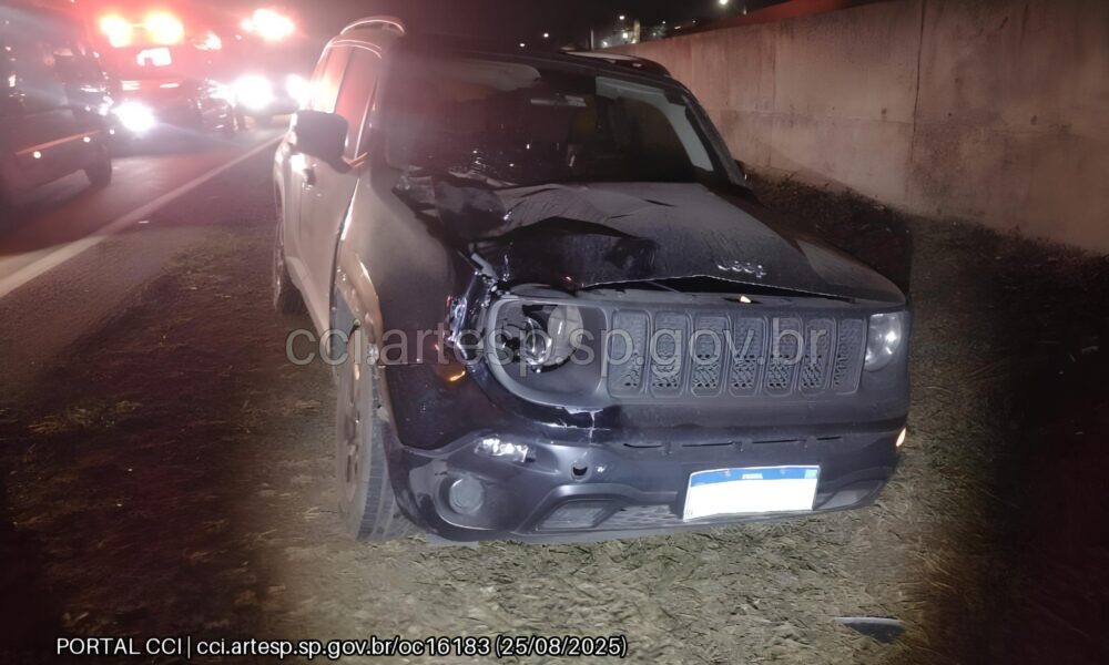 Trag dia na Santos Dumont O Dia em que a Estrada se Tornou um Cen rio de Perda e Reflex o