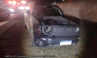 Trag dia na Santos Dumont O Dia em que a Estrada se Tornou um Cen rio de Perda e Reflex o