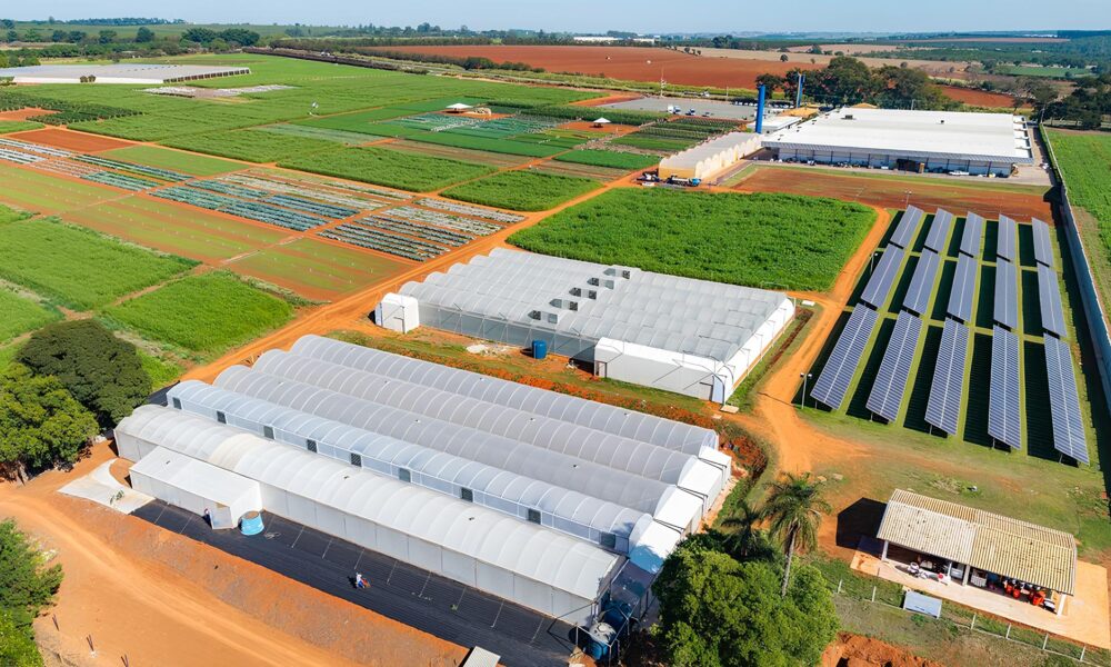 A Revolução Solar nas Empresas Médias: Como a Geração Própria de Energia Está Redefinindo o Futuro dos Negócios no Brasil 46 A Revolu o Solar nas Empresas M dias Como a Gera o Pr pria de Energia Est Redefinindo o Futuro dos Neg cios no Brasil