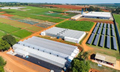A Revolu o Solar nas Empresas M dias Como a Gera o Pr pria de Energia Est Redefinindo o Futuro dos Neg cios no Brasil