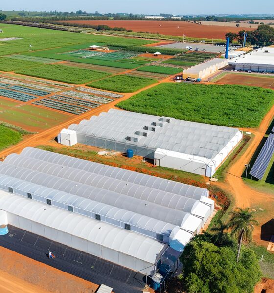 A Revolu o Solar nas Empresas M dias Como a Gera o Pr pria de Energia Est Redefinindo o Futuro dos Neg cios no Brasil