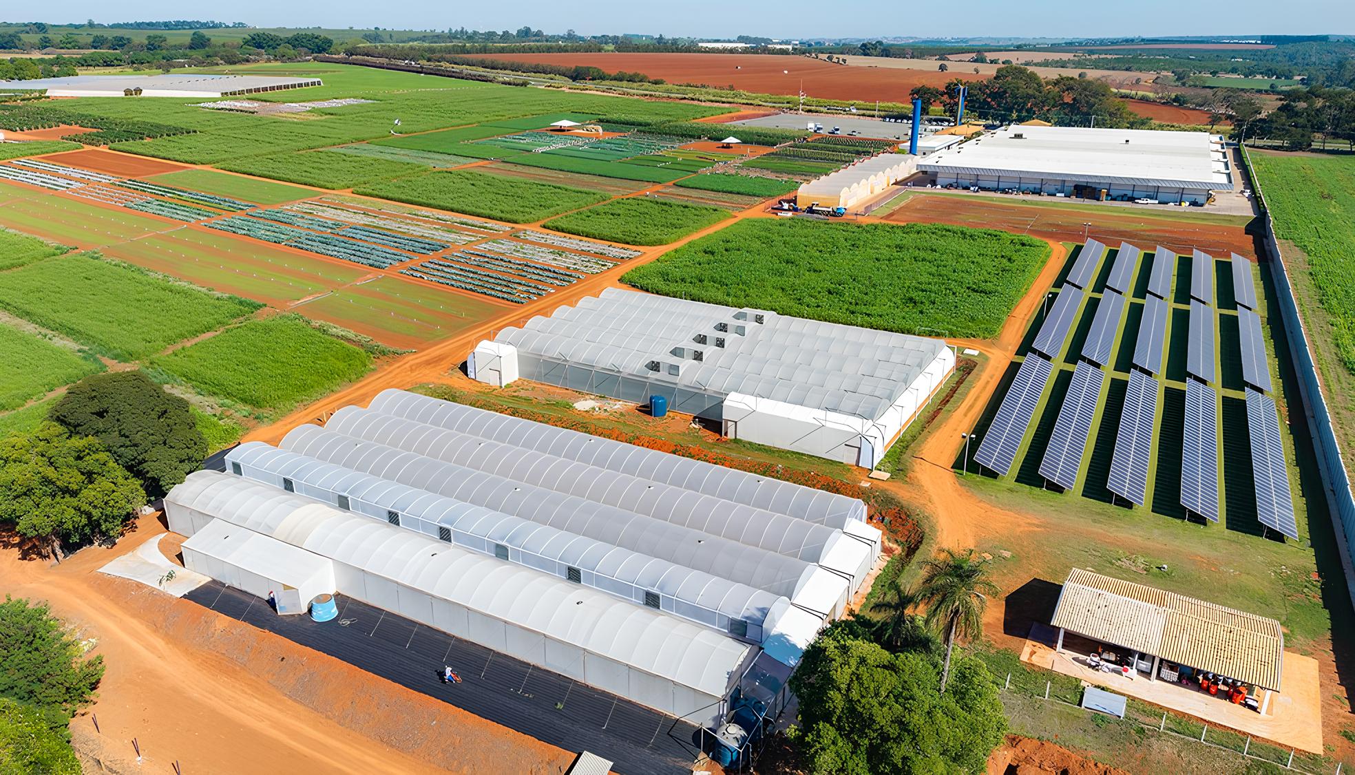 A Revolu o Solar nas Empresas M dias Como a Gera o Pr pria de Energia Est Redefinindo o Futuro dos Neg cios no Brasil