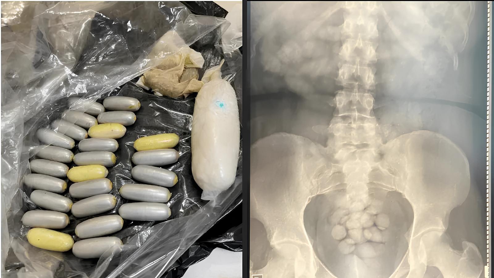 A Sombra do Tráfico Aéreo: Como a Polícia Federal Desmascara Redes Internacionais de Narcotráfico em Campinas e Além 8 A Sombra do Tr fico A reo Como a Pol cia Federal Desmascara Redes Internacionais de Narcotr fico em Campinas e Al m