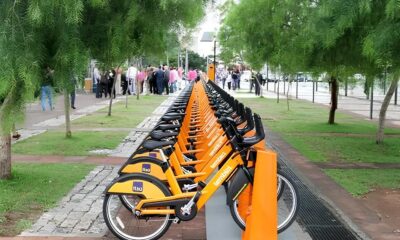 Bora Pedalar? Descubra Como Aulas Gratuitas de Bike em São Paulo Podem Mudar Sua Vida 14 Bora Pedalar Descubra Como Aulas Gratuitas de Bike em S o Paulo Podem Mudar Sua Vida