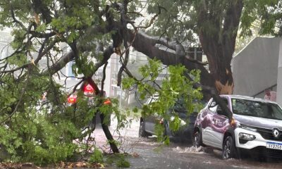 Chuva Torrencial em Campinas Quando a Natureza Mostra Seu Lado Impiedoso