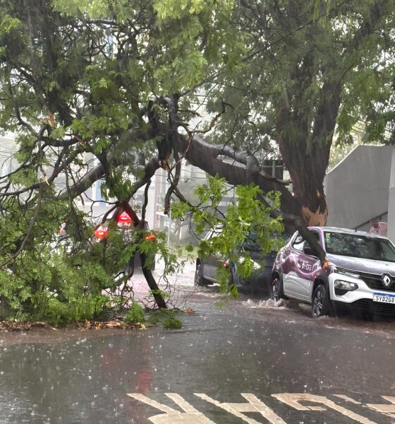 Chuva Torrencial em Campinas Quando a Natureza Mostra Seu Lado Impiedoso