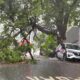Chuva Torrencial em Campinas Quando a Natureza Mostra Seu Lado Impiedoso