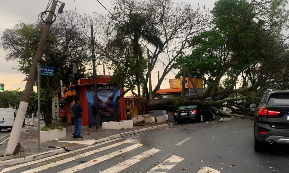 Chuva e Vento em Fúria: Como Campinas Enfrenta um Dia de Caos Climático 13 Chuva e Vento em F ria Como Campinas Enfrenta um Dia de Caos Clim tico