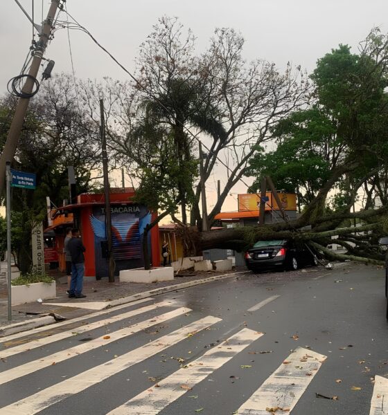 Chuva e Vento em F ria Como Campinas Enfrenta um Dia de Caos Clim tico