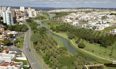 Como a Microsoft Est Moldando o Futuro da Publicidade Digital no Brasil E Por Que Voc Deveria Prestar Aten o