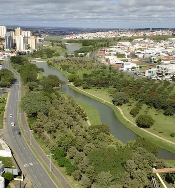 Como a Microsoft Est Moldando o Futuro da Publicidade Digital no Brasil E Por Que Voc Deveria Prestar Aten o