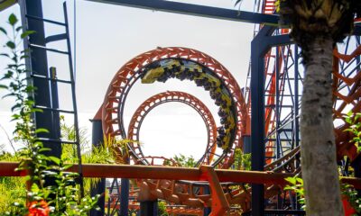 Descubra o Encanto Nacional: Hopi Hari e Beto Carrero – A Magia dos Parques Brasileiros Está Mais Perto do Que Você Imagina! 26 Descubra o Encanto Nacional Hopi Hari e Beto Carrero A Magia dos Parques Brasileiros Est Mais Perto do Que Voc Imagina