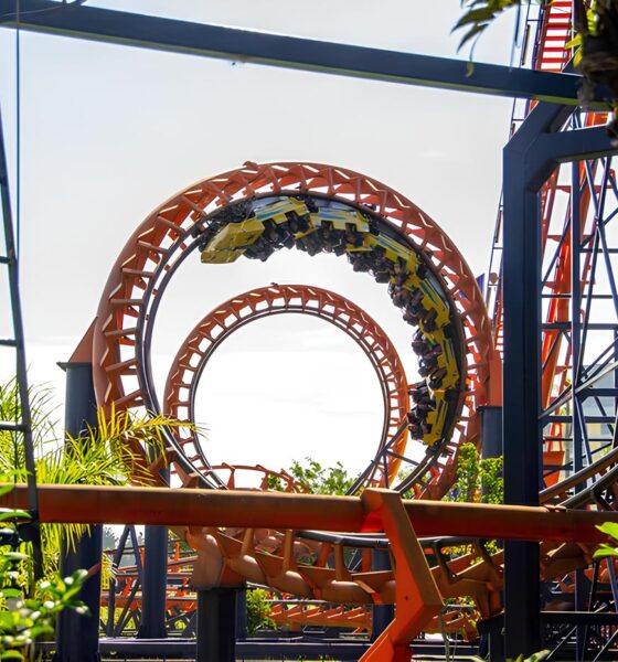 Descubra o Encanto Nacional: Hopi Hari e Beto Carrero – A Magia dos Parques Brasileiros Está Mais Perto do Que Você Imagina! 10 Descubra o Encanto Nacional Hopi Hari e Beto Carrero A Magia dos Parques Brasileiros Est Mais Perto do Que Voc Imagina
