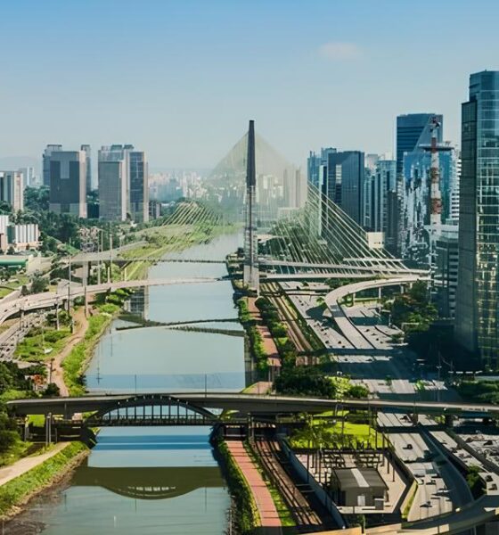 Descubra os Segredos das Passagens A reas Mais Baratas Como Economizar em Voos Nacionais e Internacionais Saindo de S o Paulo