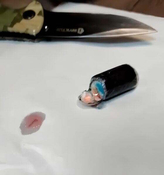 Droga no Estômago, Bilhões em Jogo: Como uma Quadrilha Transformou Aeroportos Brasileiros em Portas para o Tráfico Internacional 10 Droga no Est mago Bilh es em Jogo Como uma Quadrilha Transformou Aeroportos Brasileiros em Portas para o Tr fico Internacional