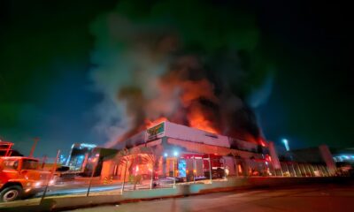 Incêndio em Fábrica de Salgados: O Dia em que o Céu Escureceu e a Esperança se Reacendeu 17 Inc ndio em F brica de Salgados O Dia em que o C u Escureceu e a Esperan a se Reacendeu
